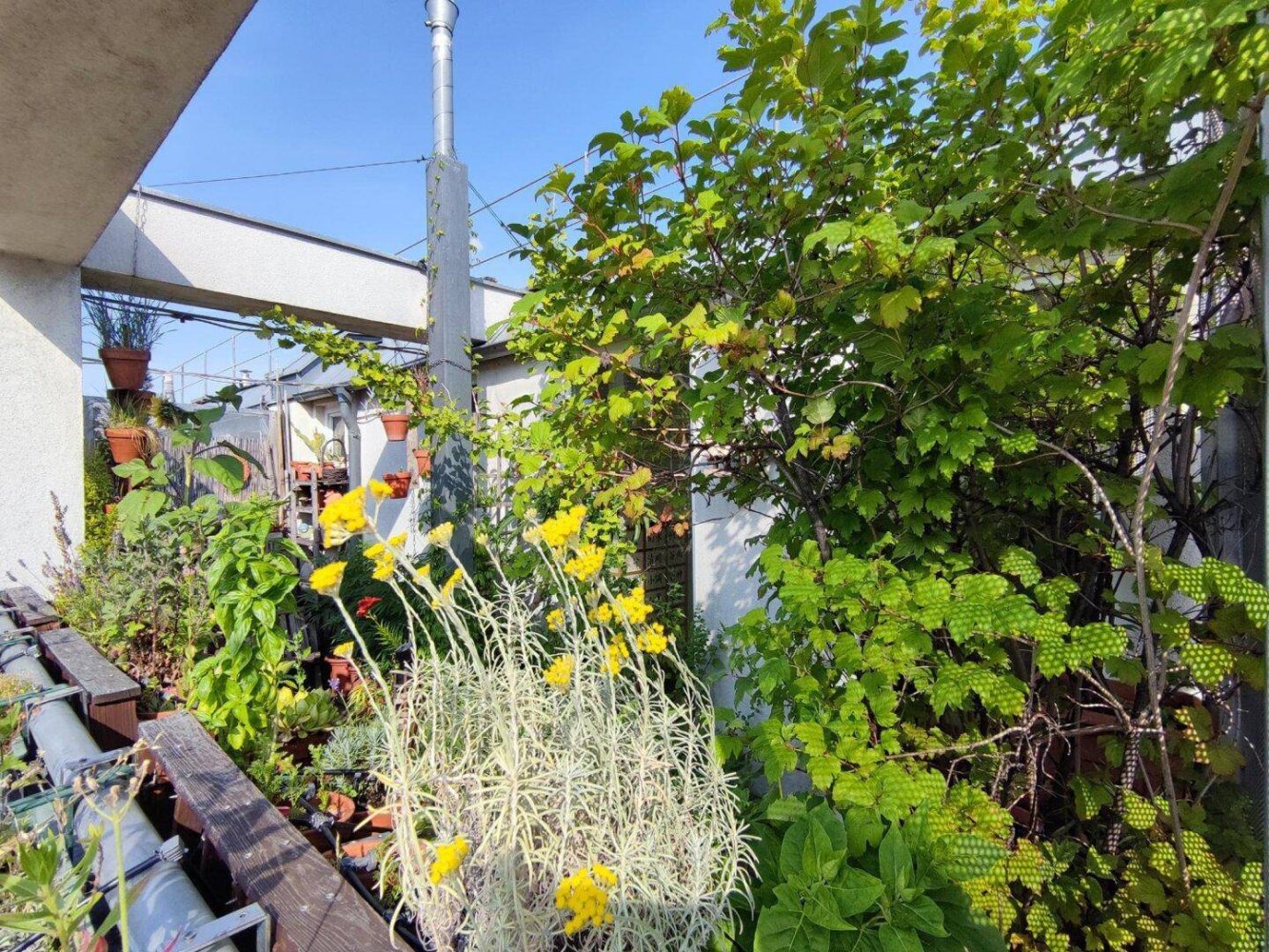 3 rooms Apartment in Margareten, Austria No. 287