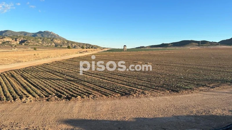 Apartamento de 4 dormitorios en Jumilla, Spain No. 254963