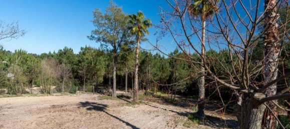 3454m² Land in Alcacer do Sal, Portugal No. 121374 12