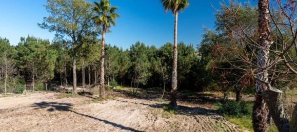 3454m² Land in Alcacer do Sal, Portugal No. 121374 24