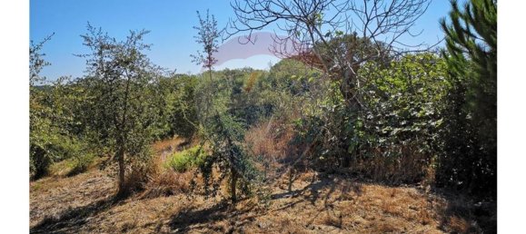 Terreno en Sao Teotonio, Portugal 221500 m² No. 47893 4