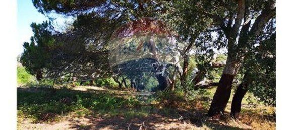 Terreno en Sao Teotonio, Portugal 221500 m² No. 47893 14