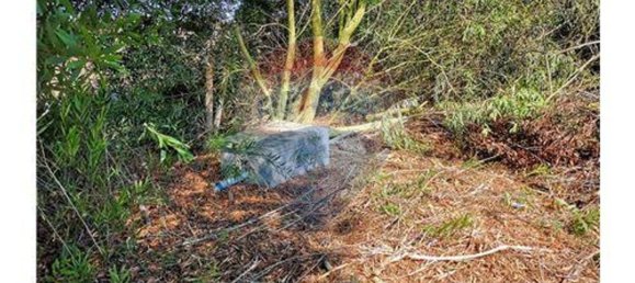 Terreno en Sao Teotonio, Portugal 221500 m² No. 47893 2