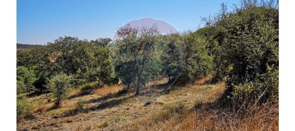 Terreno en Sao Teotonio, Portugal 221500 m² No. 47893 17