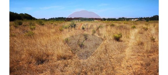 Terreno en Sao Teotonio, Portugal 221500 m² No. 47893 8