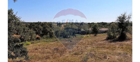 Terreno en Sao Teotonio, Portugal 221500 m² No. 47893 13