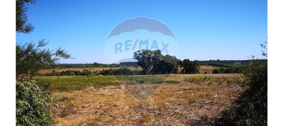 Terreno en Sao Teotonio, Portugal 221500 m² No. 47893 16