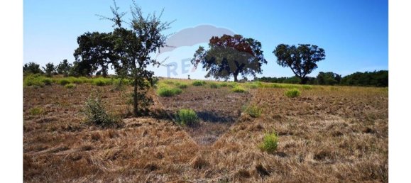 Terreno en Sao Teotonio, Portugal 221500 m² No. 47893 11