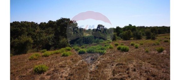 Terreno en Sao Teotonio, Portugal 221500 m² No. 47893 12