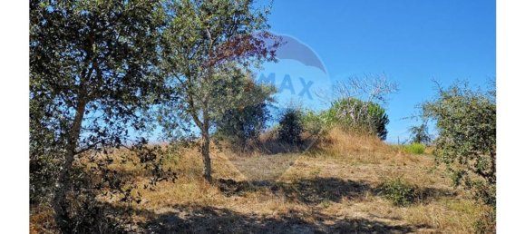 Terreno en Sao Teotonio, Portugal 221500 m² No. 47893 10