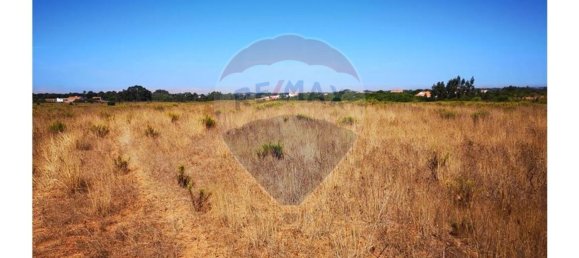 Terreno en Sao Teotonio, Portugal 221500 m² No. 47893 9