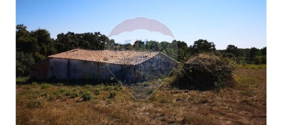 Terreno en Sao Teotonio, Portugal 221500 m² No. 47893 5