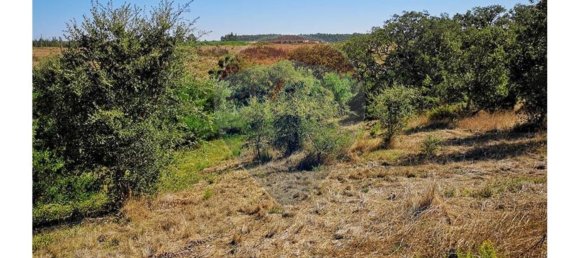 Terreno en Sao Teotonio, Portugal 221500 m² No. 47893 3