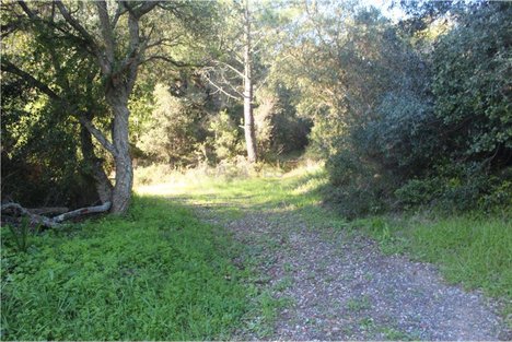 Terreno en Sintra, Portugal 48322 m² No. 91636