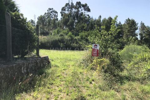  Land in Barcelos, Portugal No. 205211