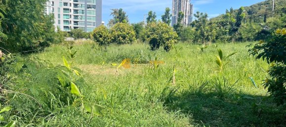 Land in Pattaya, Thailand No. 25451 4