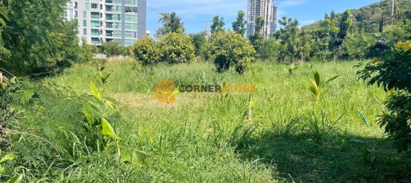 Gewerbliche Immobilie in Pattaya, Thailand, Nr. 25451 8