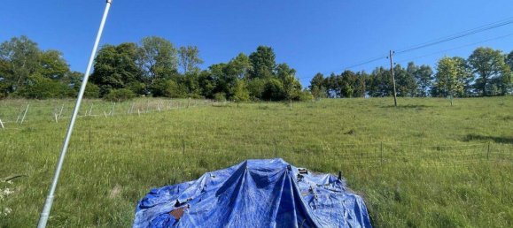 Terreno en Reichenau im Muhlkreis, Austria No. 149060 5