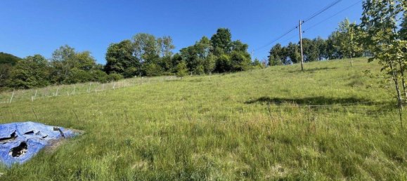 Terreno en Reichenau im Muhlkreis, Austria No. 149060 3