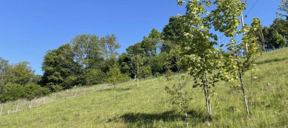 Terreno en Reichenau im Muhlkreis, Austria No. 149060 4