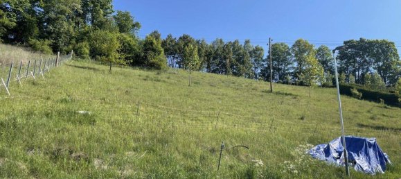 Terreno en Reichenau im Muhlkreis, Austria No. 149060 2