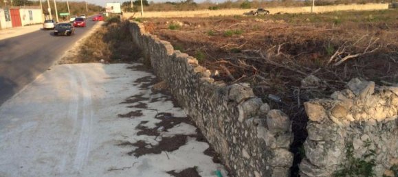 Grundstück in Merida, Mexico, Nr. 116837 2