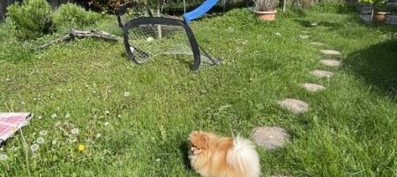 2 Schlafzimmer Villa in Village-Neuf, France, Nr. 58631 41