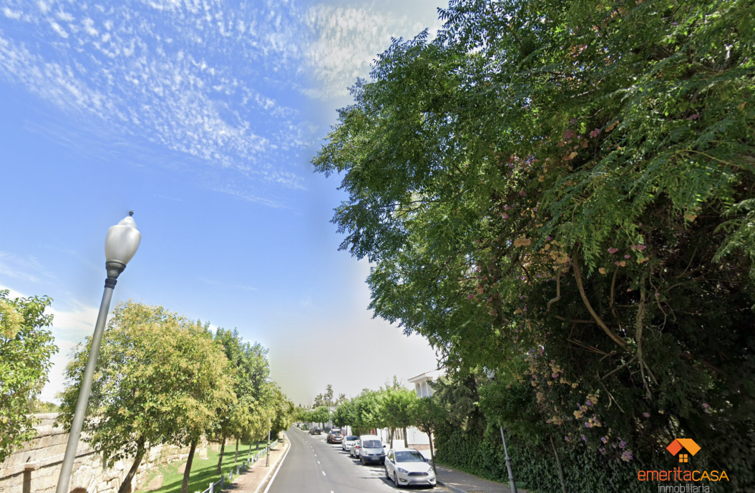 Коммерческая недвижимость 239м² в Мерида, Испания № 248087