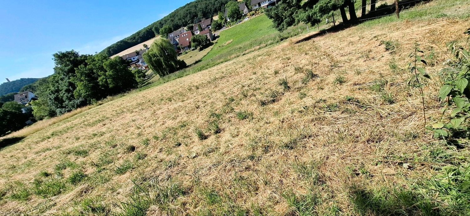  قطعة أرض في Ahrweiler, Germany رقم 241182