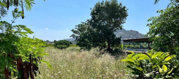 Grundstück in Ondara, Spain 5237m², Nr. 153649 3