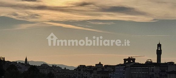 1-Zimmer Gewerbliche Immobilie in Florence, Italy, Nr. 39786 22