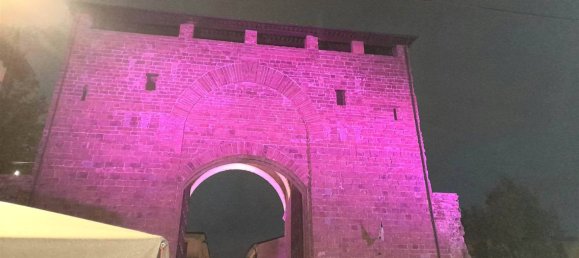 1-Zimmer Gewerbliche Immobilie in Florence, Italy, Nr. 39786 20