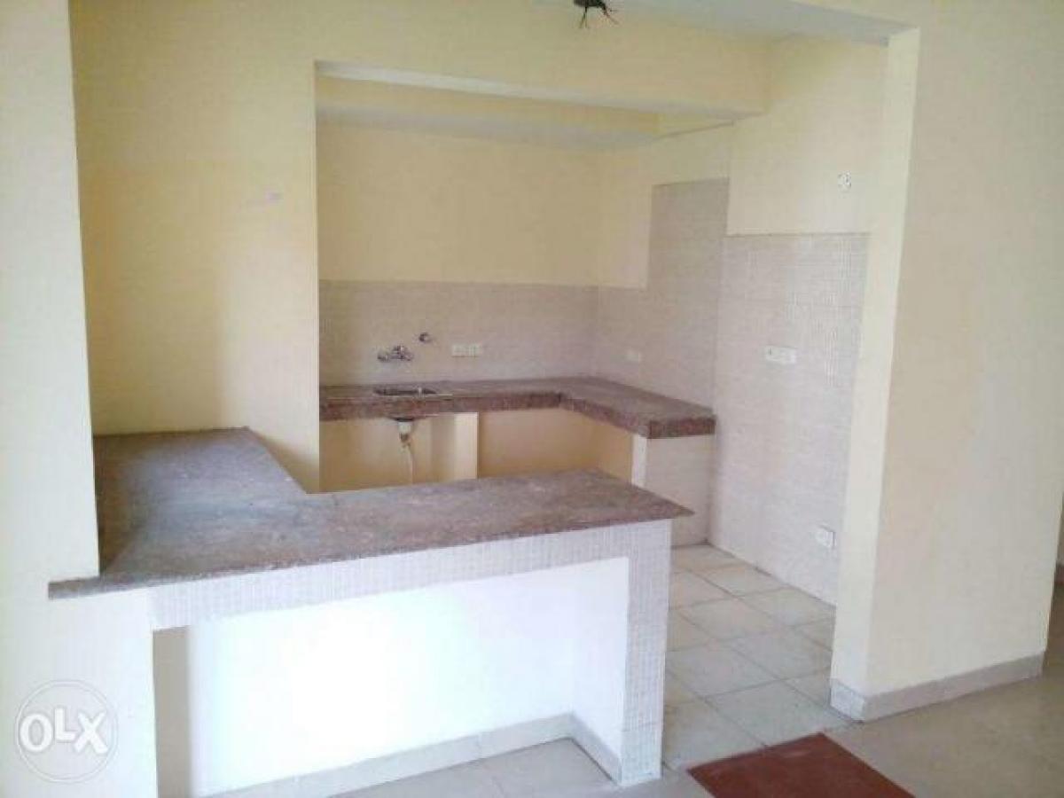 Estudio en Mohali, India No. 48584