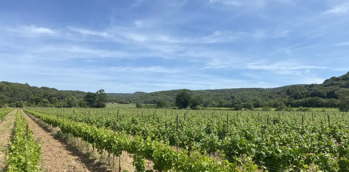 1407m² Land in Lezignan-Corbieres, France No. 189789