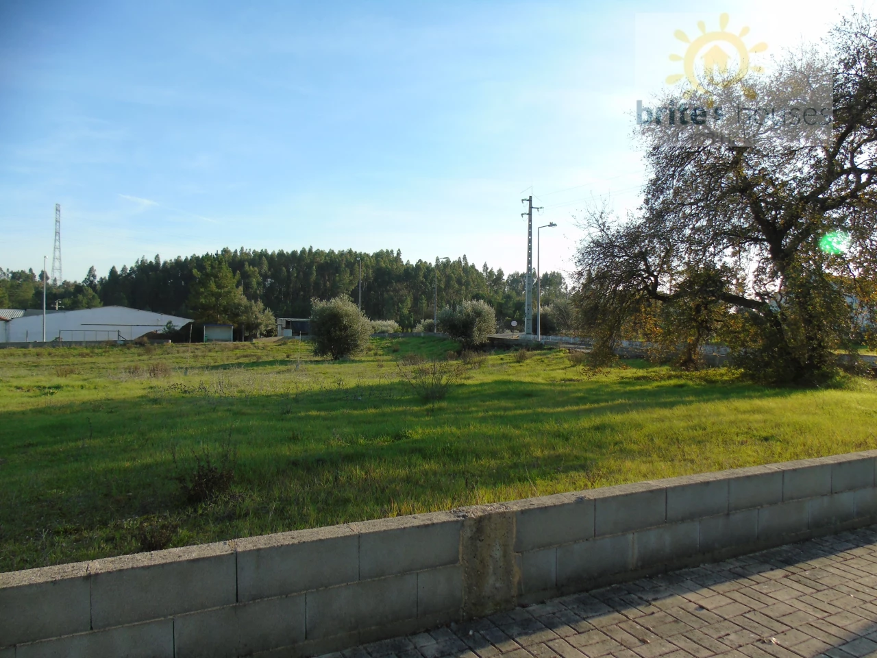 Grundstück in Asseiceira, Portugal, Nr. 68332