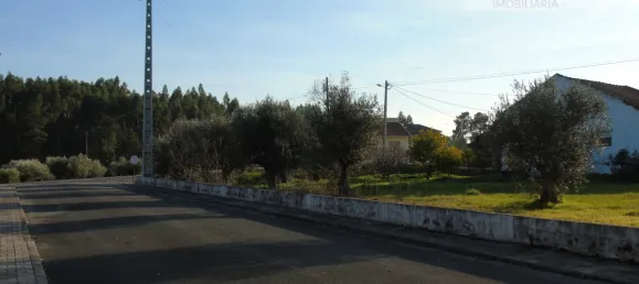 Grundstück in Asseiceira, Portugal, Nr. 68332 8