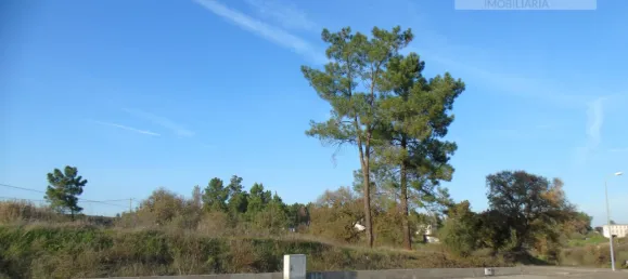 Grundstück in Asseiceira, Portugal, Nr. 68332 3