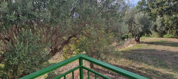 Studio in Diamante, Italy No. 168177 4