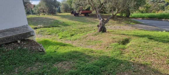 Studio in Diamante, Italy No. 168177 2