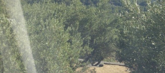 6 rooms Villa in Rivello, Italy No. 31888 7