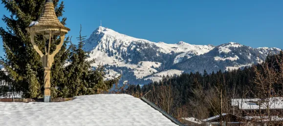 Земельный участок в Кирхберг ин Тироль, Австрия № 94115 9