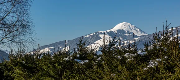 Земельный участок в Кирхберг ин Тироль, Австрия № 94115 5