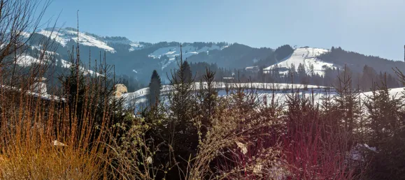 Земельный участок в Кирхберг ин Тироль, Австрия № 94115 8