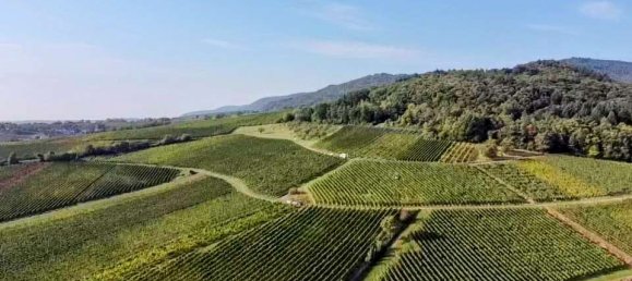 4 bedrooms Townhouse in Rhineland-Palatinate, Germany No. 198304 24