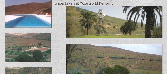 16 bedrooms Finca in Betancuria, Spain No. 3209 29