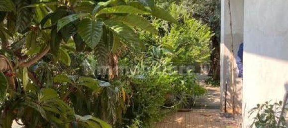 2 bedrooms Apartment in Capena, Italy No. 33395 14