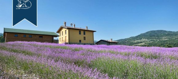 14 chambres Propriété commerciale à Lugagnano Val d'Arda, Italy No. 373666 4