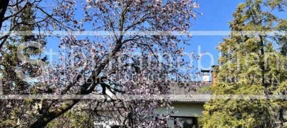 4 rooms Townhouse in Gerasdorf bei Wien, Austria No. 149362 3