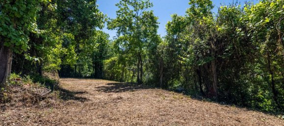 2 غرف نوم منزل في Ribeiros, Portugal رقم 164637 11