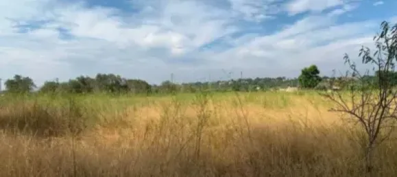 قطعة أرض في San Antonio de Benageber, Spain 13469متر مربع رقم 133746 5